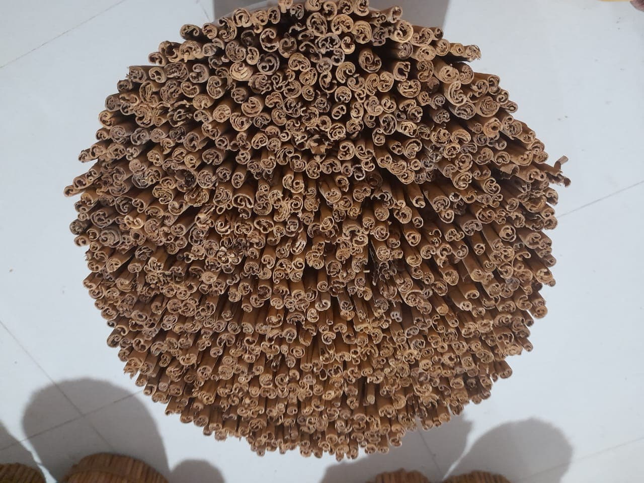 Close-up of Selected Alba Quills