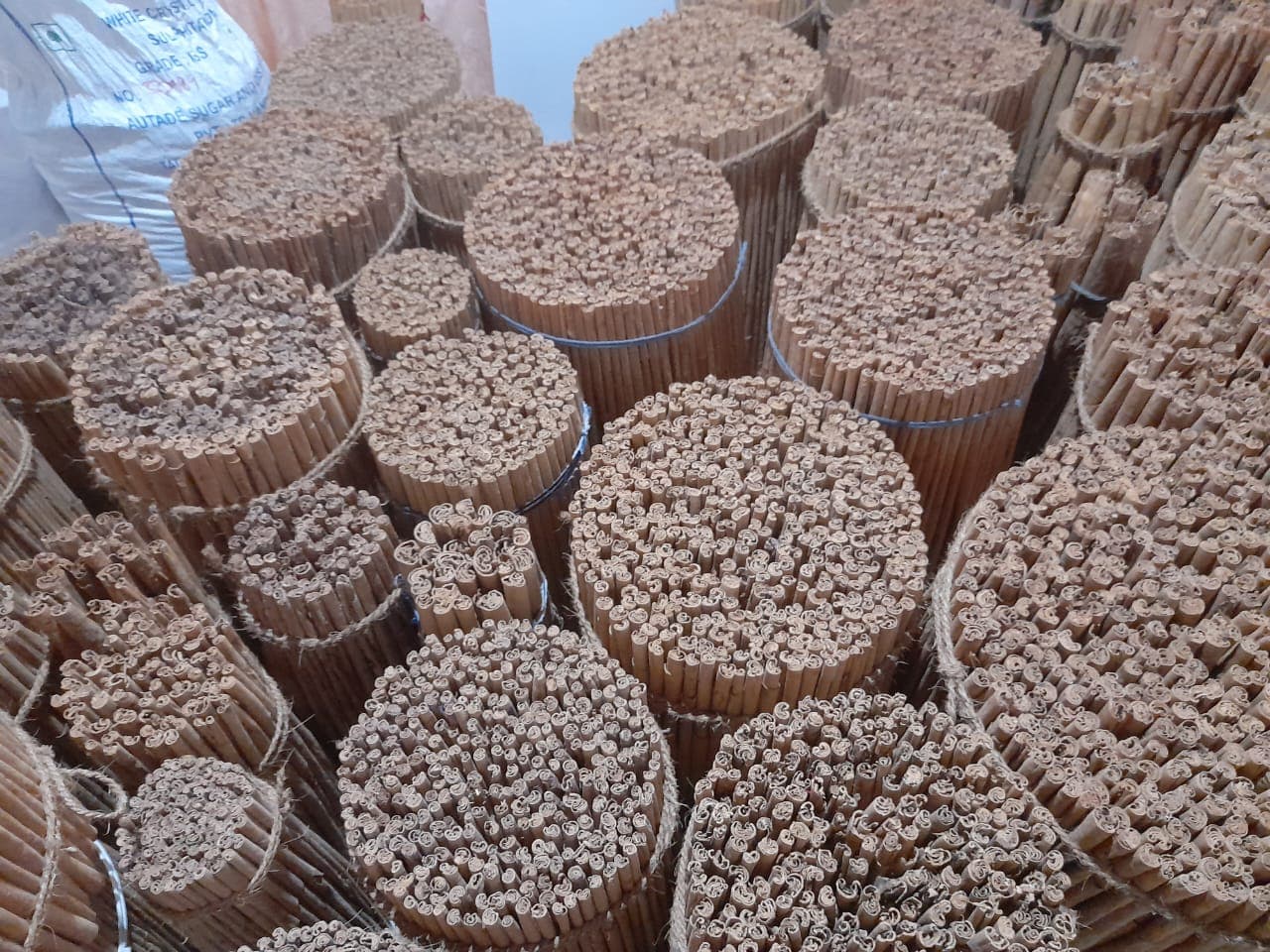 Close-up of C4 Quills