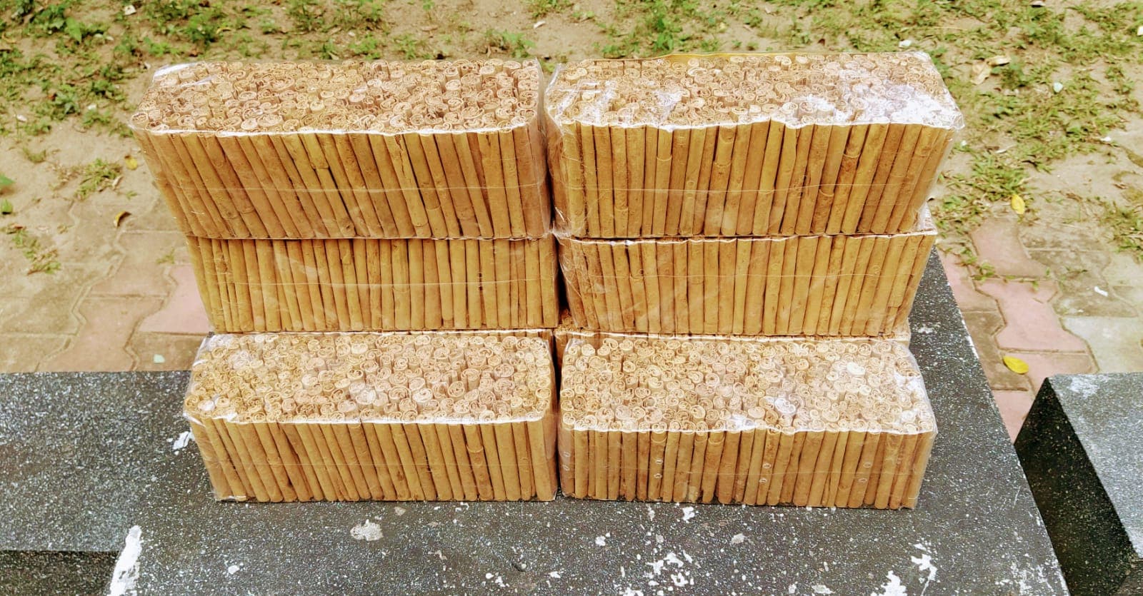Close-up of C5 Quills