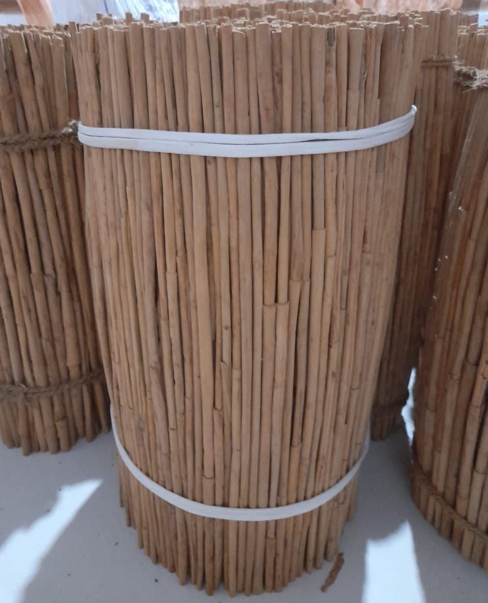 Close-up of C5 Special Quills