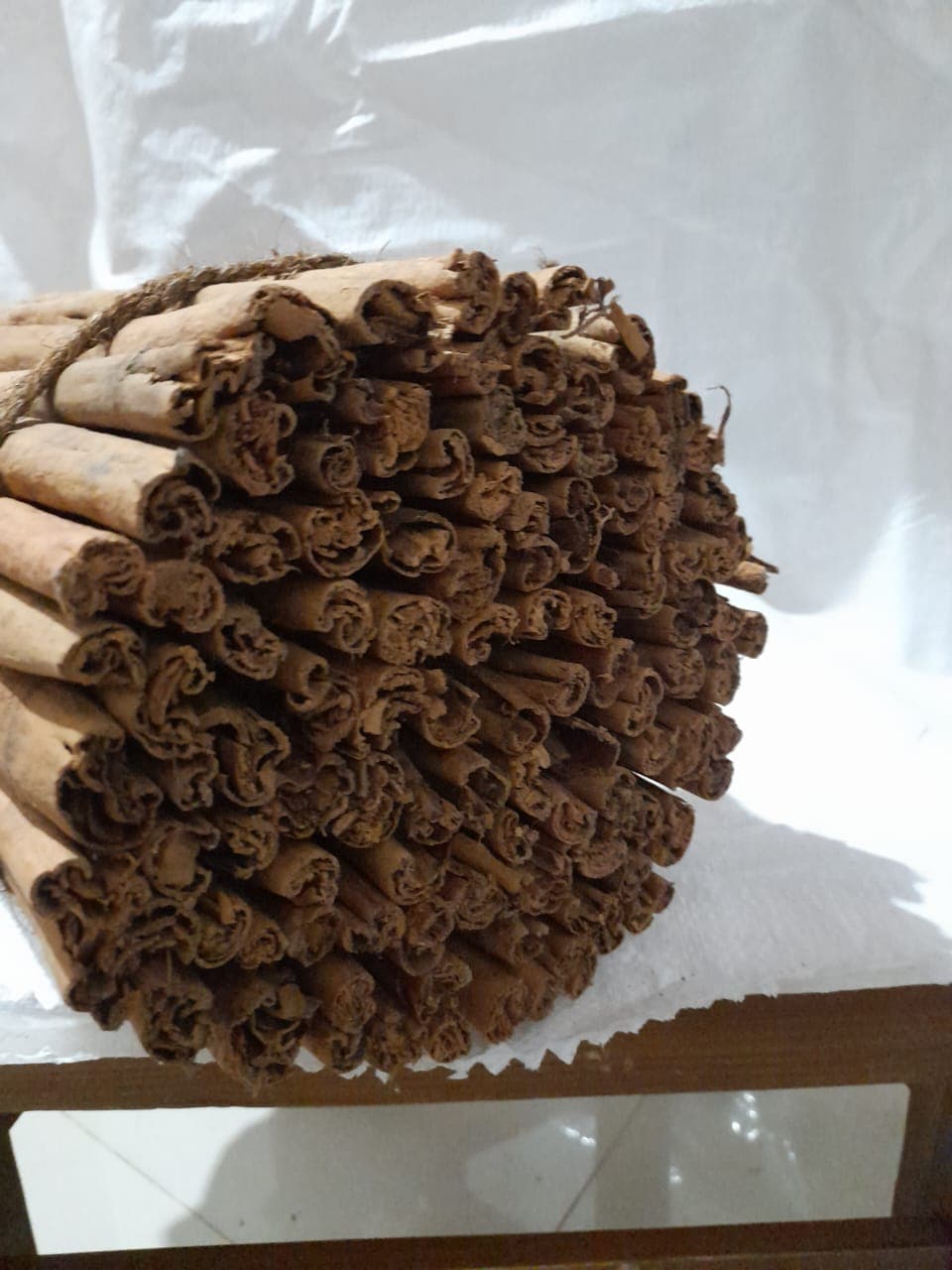 Close-up of H1 Quills