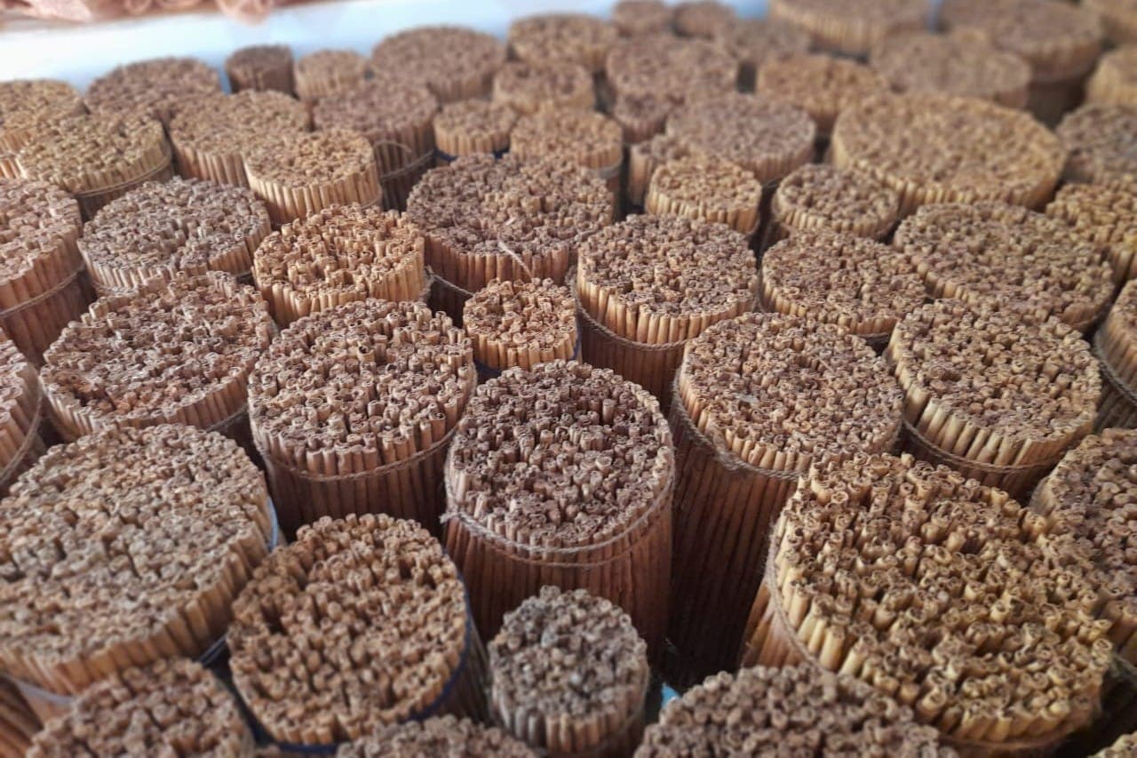 Close-up of M4 Quills